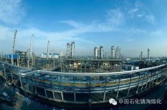 臥龍電驅(qū)再獲中石化鎮(zhèn)海煉化項目框架高壓電動