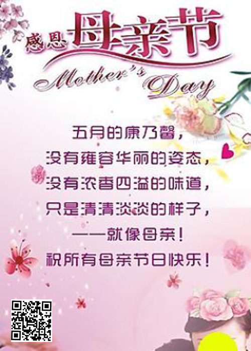 新普加二維碼圖.jpg