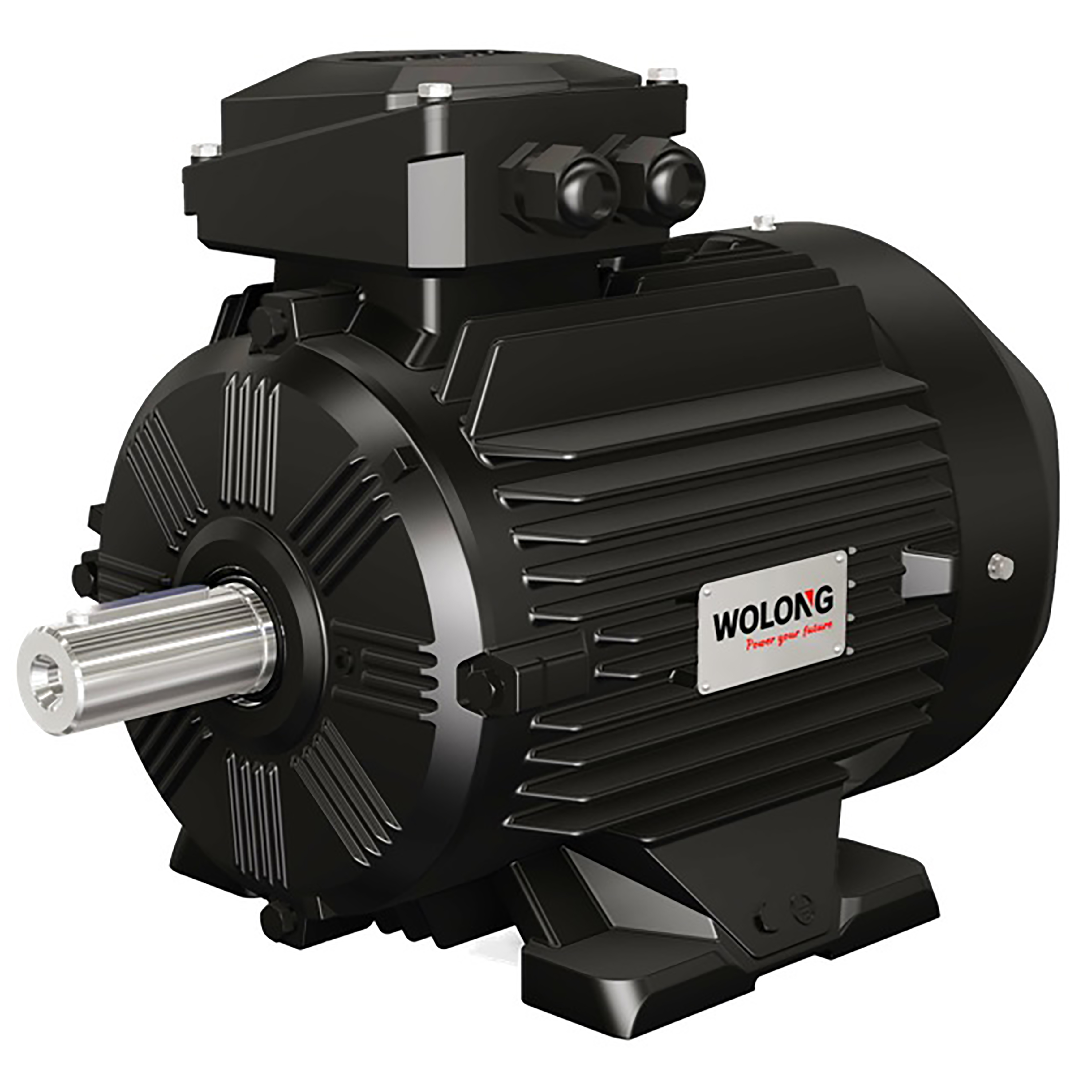 WEPM series variable frequency speed regulation PMSM motor