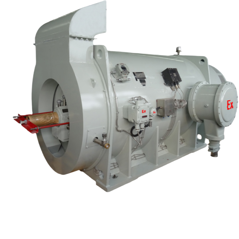 YBBPX系列高壓隔爆型變頻調(diào)速三相異步電動(dòng)機(jī).png