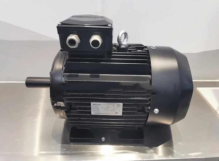 新版一級能效電機YE5/WE5臥龍電氣南陽防爆電機