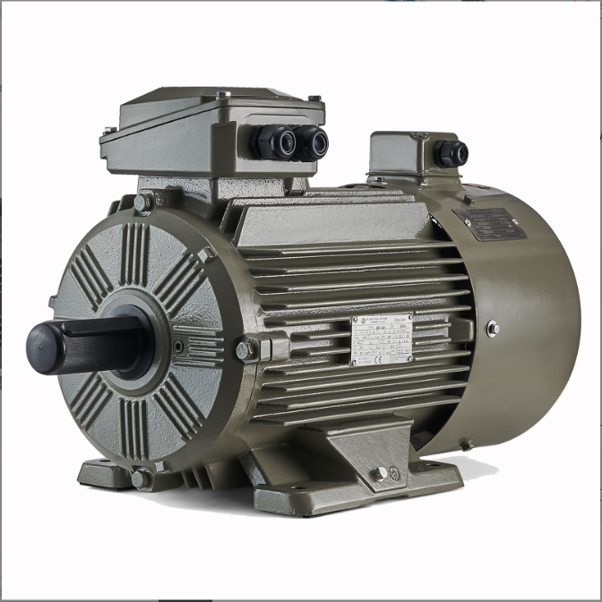 WE4三相異步電動機(jī)能效升
